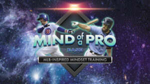 Mind of a Pro Online Mentorship Program